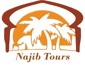 najibtours-removebg-preview-removebg-preview
