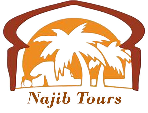 najibtours-removebg-preview-removebg-preview