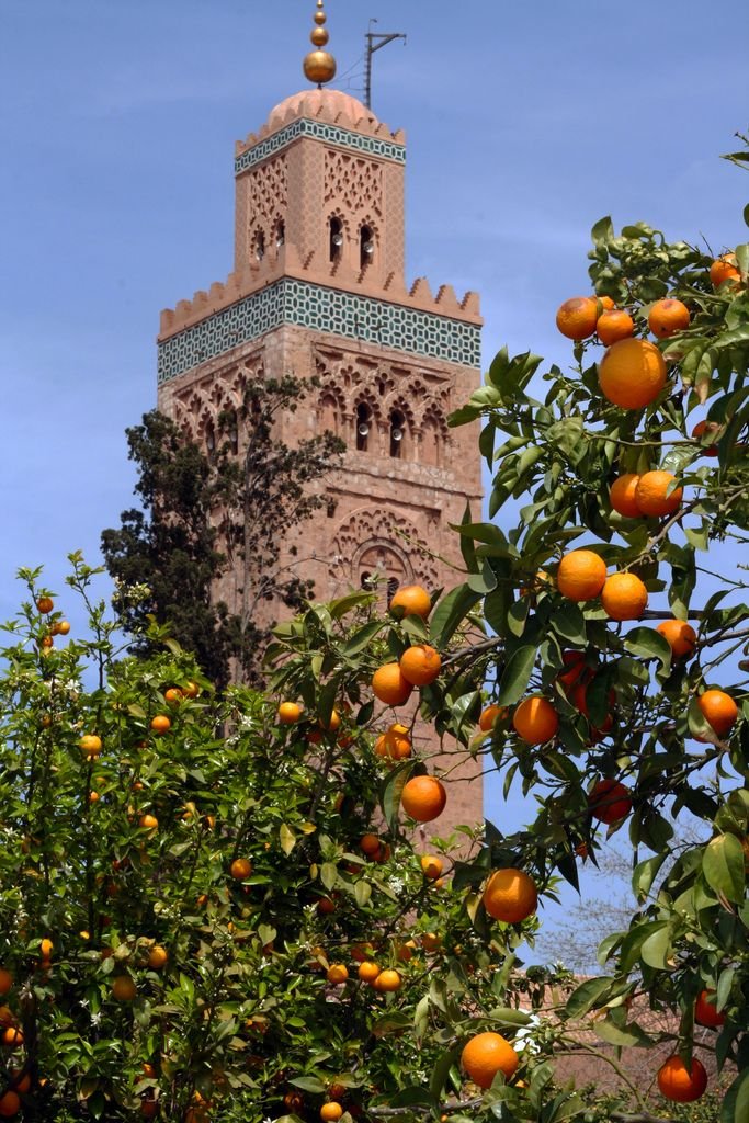 Koutoubia Mosque Marrakech (1)