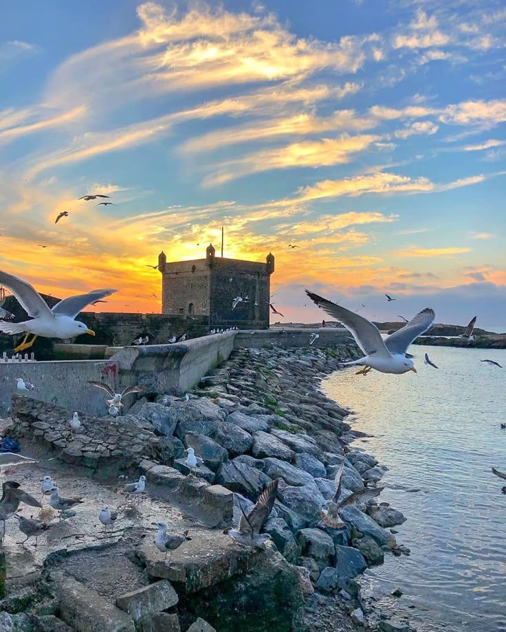 Day Trip Essaouira Tours from Marrakech – Morocco Tours