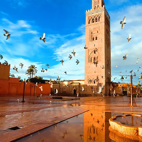 Marrakech to Agadir Transfer - Morocco Tours